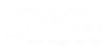 light logo